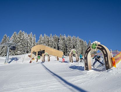skiparcour